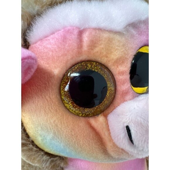 Ty Beanie Boos PINECONE Hedgehog 9in  Walgreens Exclusive Rainbow Buddy Plush - Picture 13 of 15